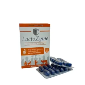 Wellness Empire Lactozyme 60 Capsules